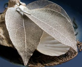 Prachtige hanger, gemaakt van een echt Blad skelet,  in Antiek Zilver Kleur Metaal