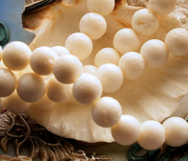 set/5 beads: Sponge-Coral - Round - 8,4 mm - Off White