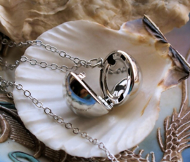 Pendant on Necklace: Photo or Message Ball Locket - Silver tone