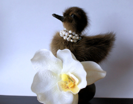 Taxidermie Eendje op koperen basis, met echte pareltjes & zijden Orchidee