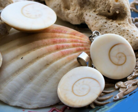 Beautiful Pendant: Shiva Eye Shell - S-M-L