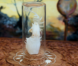 Weasel Skull with Dried Flowers in Glass dome-container
