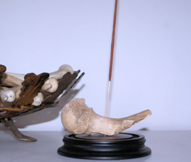 Human Bone on Black display stand (insence holder)