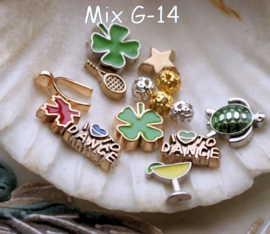 Memory Locket Inhoud (voor variant met glas) - 4-10 mm - DIVERSE MIX SETS