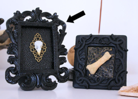 Black Baroque Frame with real Canary Skull