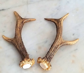 Matching Pair of Roe Buck horns - pick your choice