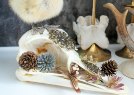 Ostrich skull with taxidermy duckling & dried flowers