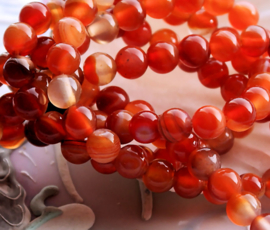set/8 beads: real AGATE - Round - 6,2 mm - Orange