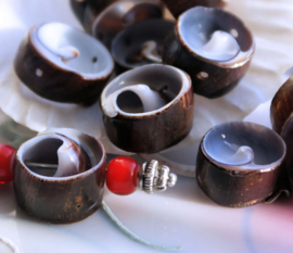 set/5 beads: cut Shell - flat round - 12-14 mm - Brown