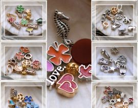 Memory Locket Inhoud (voor variant met glas) - 4-10 mm - DIVERSE MIX SETS