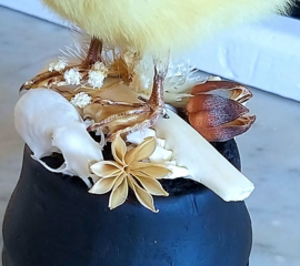 Revenge of the Fluffie: Duckling on a stand, with dried flowers, skull & bones
