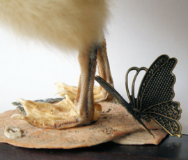 Taxidermy Goose Duckling with Flowers