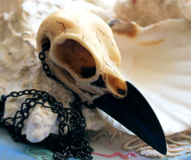 Viking Pagan Pendant on Necklace: Raven Talisman - Replica Skull