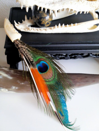 Beautiful Ornament: Roe buck mandible with Feathers & Quills