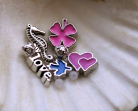 Memory Locket Inhoud (voor variant met glas) - 2+4-11 mm - Mix 9 Roze Blauw