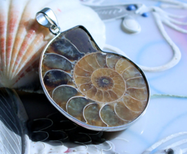 Beautiful Pendant: Ammonite Fossil - 50 mm