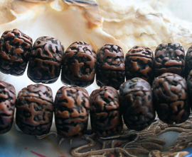 1 large traditional bead: Rudraksha - Tear of Shiva - 16,5x10 mm - oiled