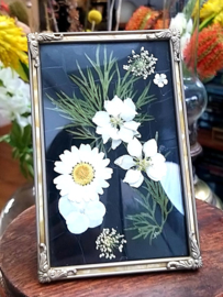 Beautiful Vintage Frame with White Dried Flowers