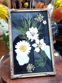 Droogbloemen in Vintage lijstje - Zwart Wit