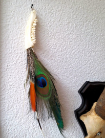 Beautiful Ornament: Roe buck mandible with Feathers & Quills