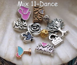 Memory Locket Inhoud (voor variant met glas) - 4-10 mm - DIVERSE MIX SETS