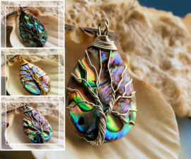 Lovely Tree of Life Pendant:  Paua Abalone Shell from New Zealand - 39 mm - various options