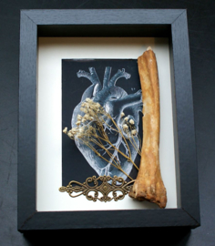 Human Bone met Anatomisch Hart print in Museum Lijst (+ glas) - 25x18 cm