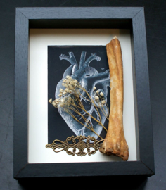 Human Bone & Anatomical Heart print in Museum Frame (+ glass) - 25x18 cm