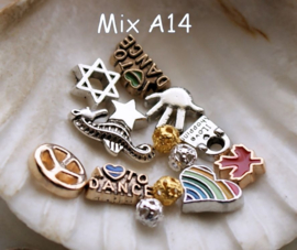 Memory Locket Inhoud (voor variant met glas) - 4-10 mm - DIVERSE MIX SETS