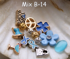 Memory Locket Inhoud (voor variant met glas) - 4-10 mm - DIVERSE MIX SETS