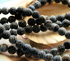 set/6 beads: Dragon Scale Agate - Round - 7,8 mm - Frost - Black Gray & White