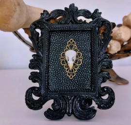 Black Baroque Frame with real Canary Skull