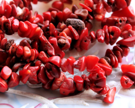 set/30 beads: Coral - Chips - approx 6-8 mm - Red
