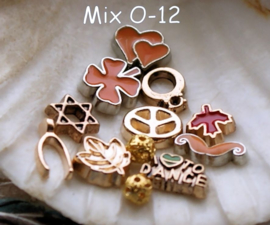 Memory Locket Inhoud (voor variant met glas) - 4-10 mm - DIVERSE MIX SETS