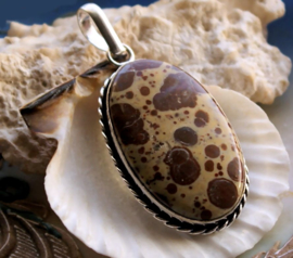 Pendant: Picture Jasper - SP - 60 mm