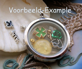 Memory Locket Inhoud (voor variant met glas) - 4-11 mm - Mix 10 Rock Skull