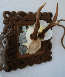 Roe Buck Skull & Antlers - Baroque Frame with White Orchid