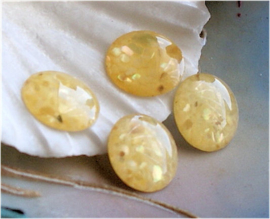 set/6 Cabochons: Schelp in Acryl - 12 mm - Iriserend Naturel