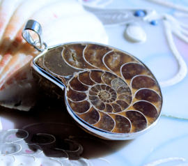 Beautiful Pendant: Ammonite Fossil - 50 mm