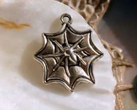1 Charm: Spider in Web - 22 mm - Antique Silver tone
