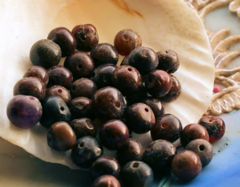 set/10 ANTIQUE Tradebeads: African Agate Beads from Mali - approx 6-8 mm