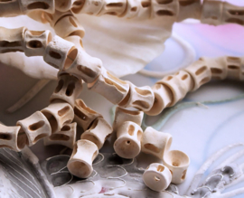 set/5 Tribal Beads made from Fish-Spine-Bone from KENYA - 7x8 mm - Off White