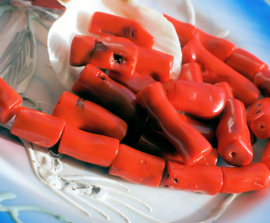 1 bead: Red Coral Branch - approx 15-20 mm or 22-34 mm length