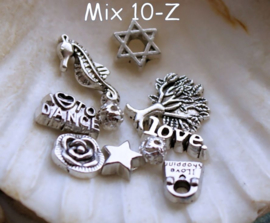 Memory Locket Inhoud (voor variant met glas) - 4-10 mm - DIVERSE MIX SETS