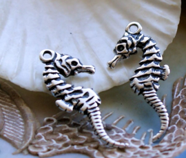 1 Charm: Seahorse - 33 mm - Antique Silver Tone