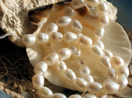 set/44 Beads 35 cm: Strand Freshwater Pearls - 7-8 mm - White