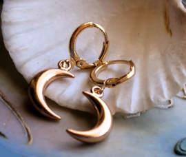 Pair of Earrings with Star or Moon or Crucifix or Crystal - Gold