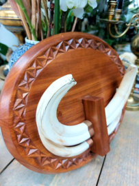Large, Old Trophy on Shield: Warthog Tusks