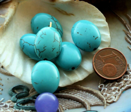 set/5 beads: Howlite - Oval - 17x13 mm - Turquoise colour