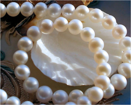 set/5 Beads: Large Freshwater Pearls - approx 8,5 mm - White - AA